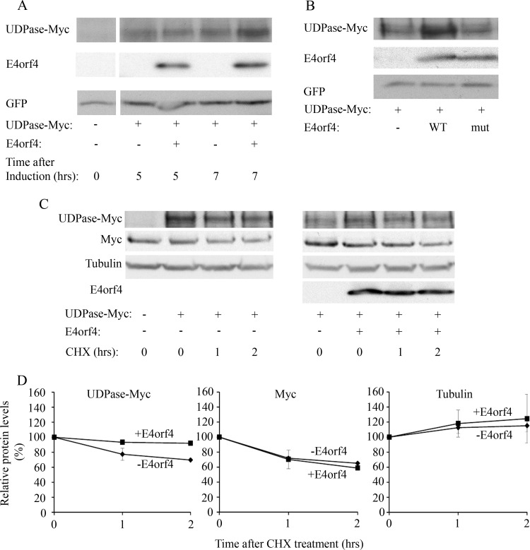 FIG 5