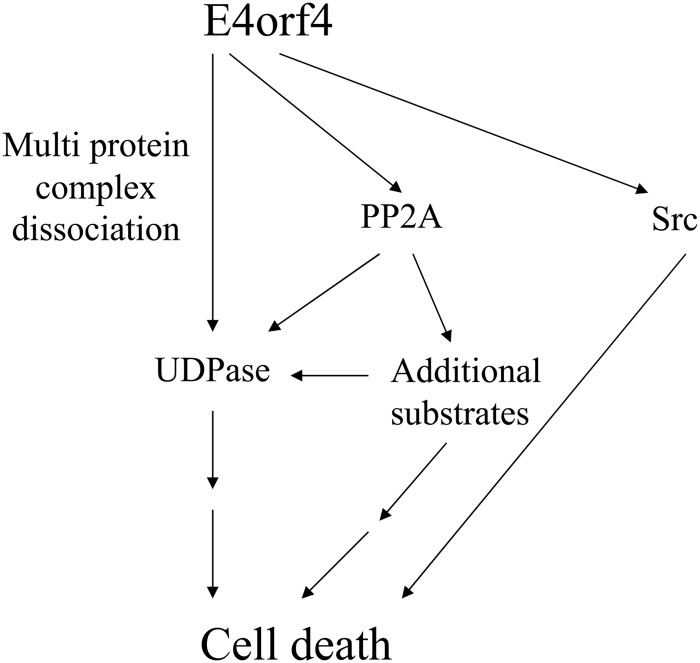 FIG 8