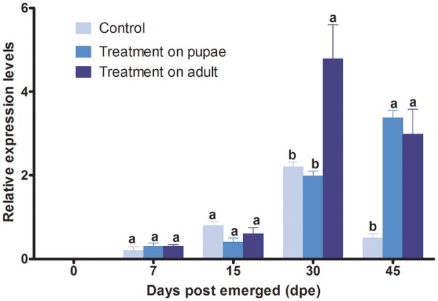 Figure 5