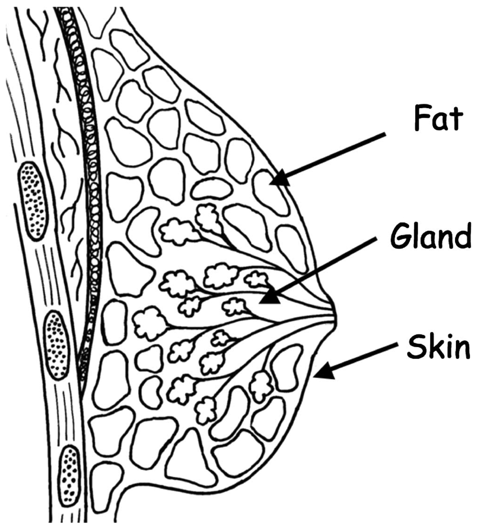 FIG 1