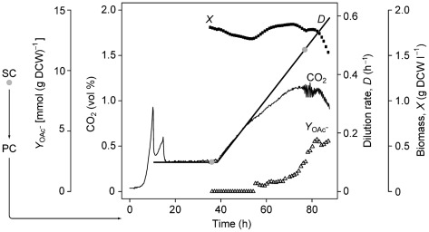 Fig. 1. 