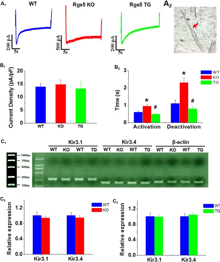 Figure 5