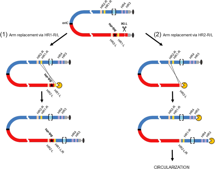 Figure 7