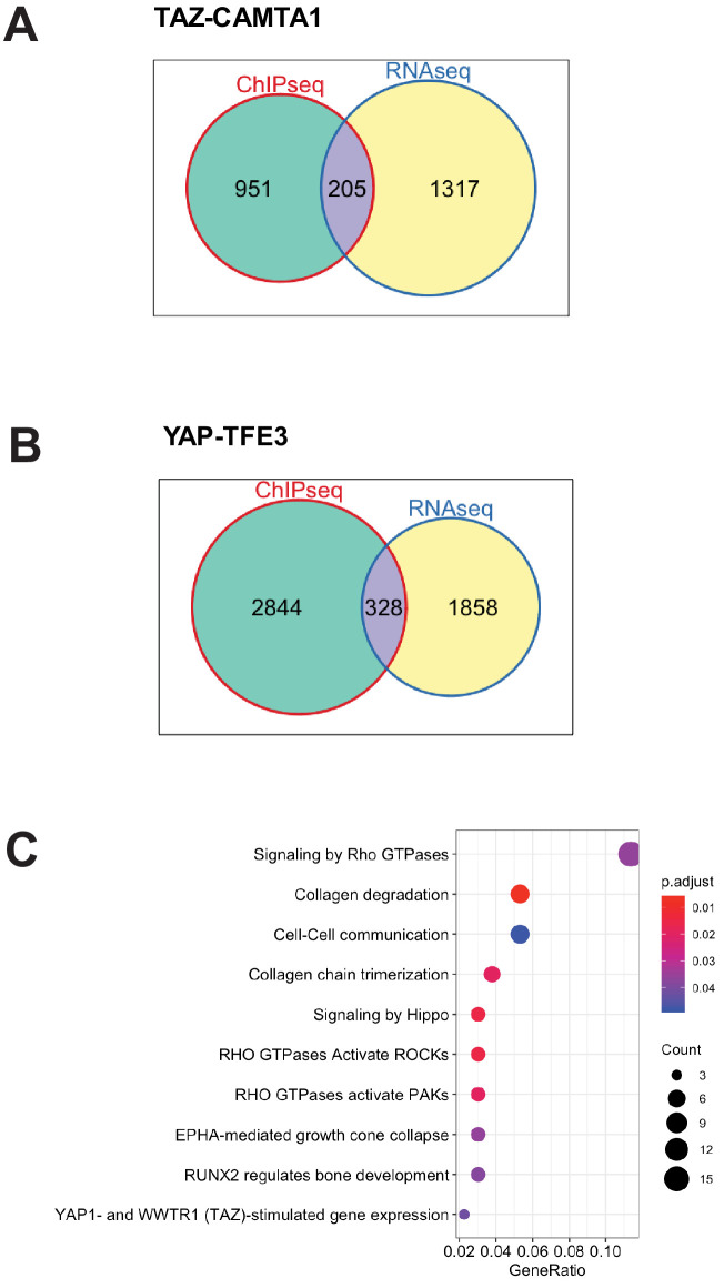 Figure 4—figure supplement 3.