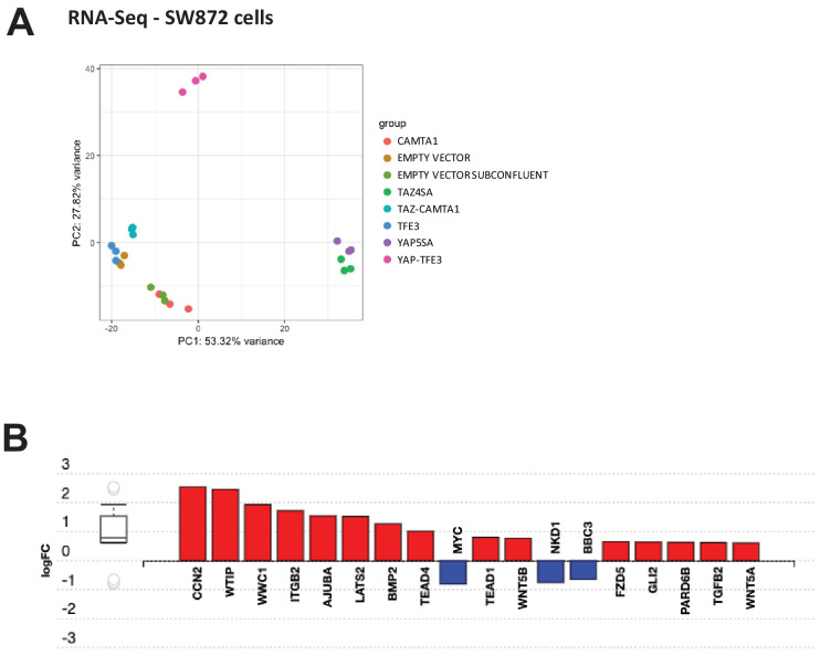 Figure 3—figure supplement 1.