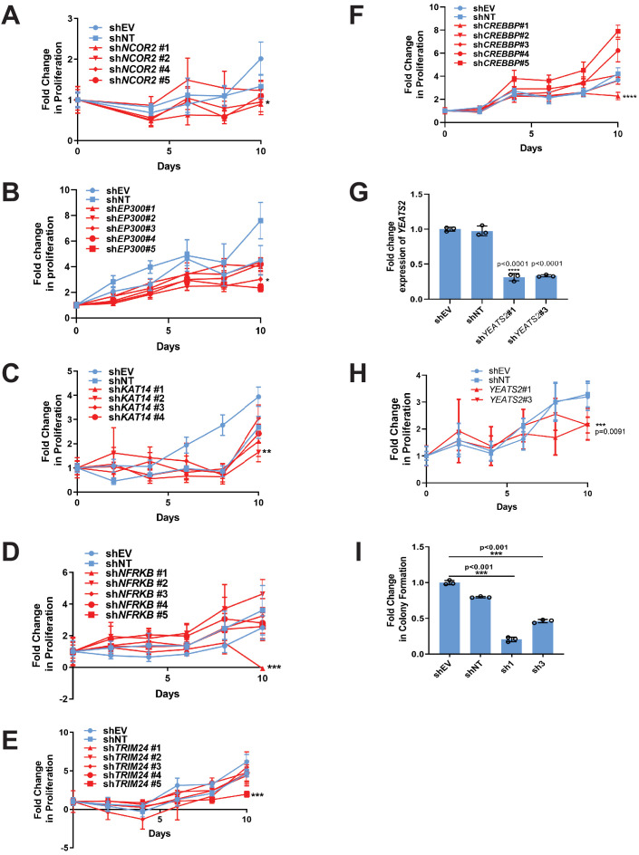 Figure 7—figure supplement 1.