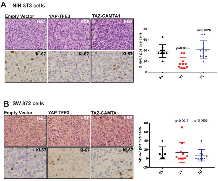 Figure 1—figure supplement 3.