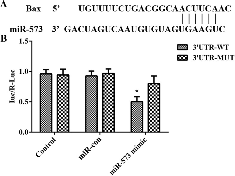 Fig. 5