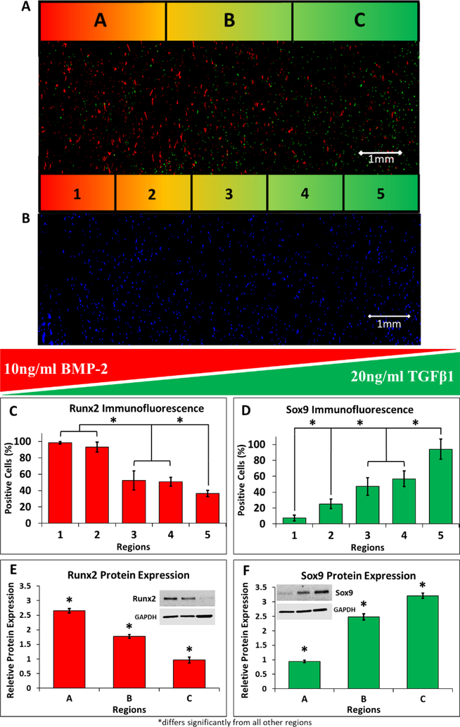 Figure 7: