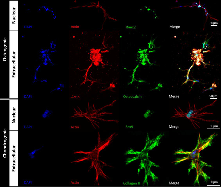 Figure 6: