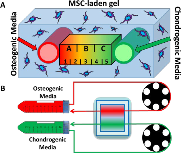 Figure 2: