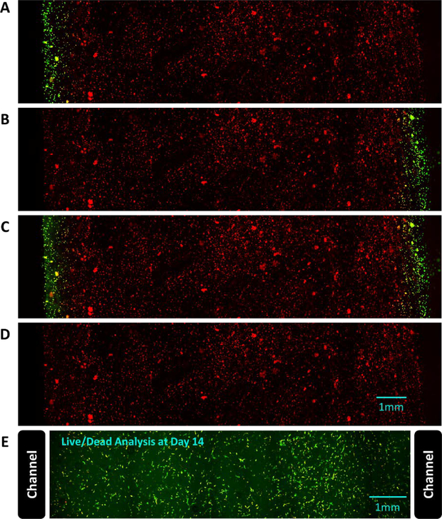 Figure 5: