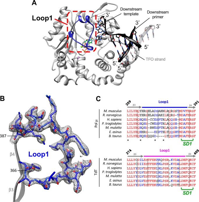 Figure 5.