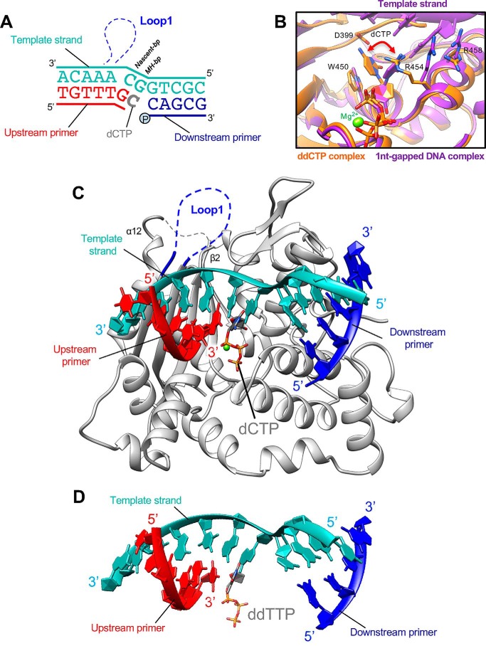 Figure 4.