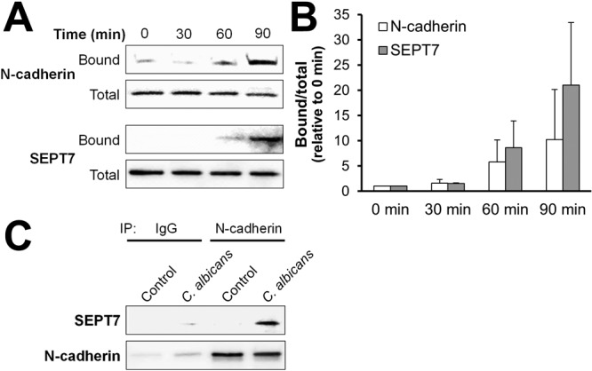 FIG 3 