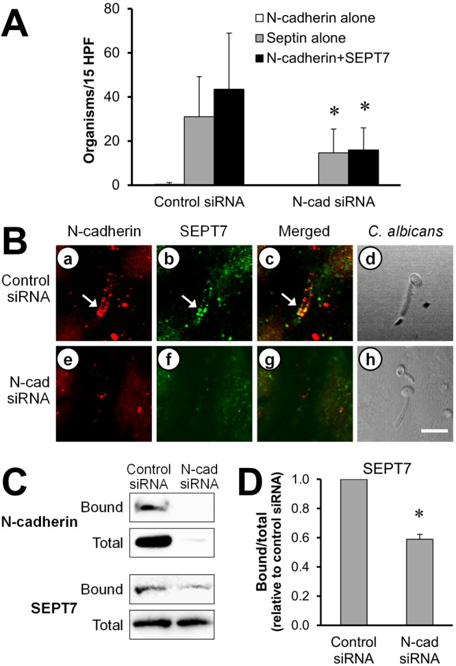 FIG 4 