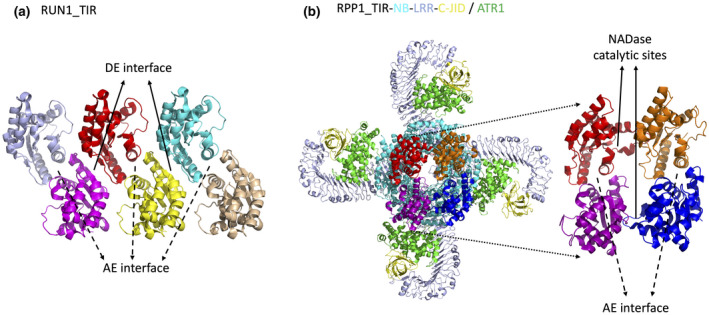 FIGURE 3