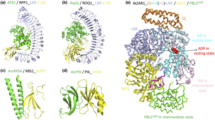 FIGURE 2