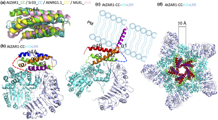 FIGURE 4