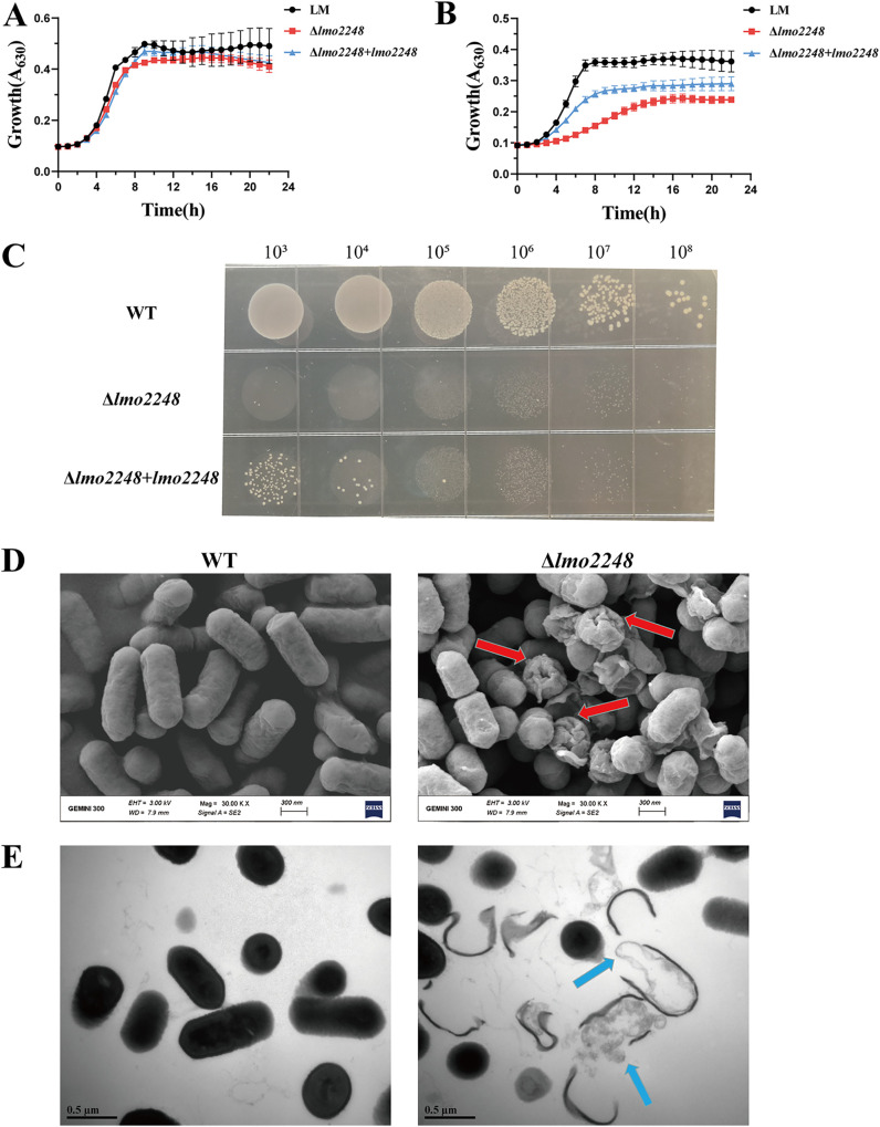 FIG 3