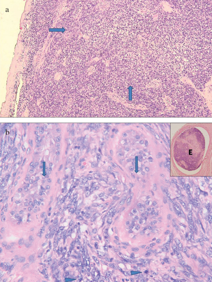 Figure 2. a, b