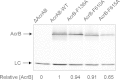 FIG 1
