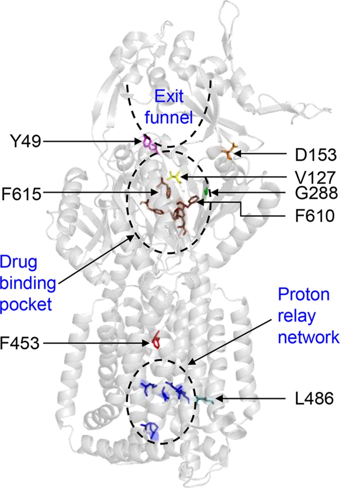 FIG 2