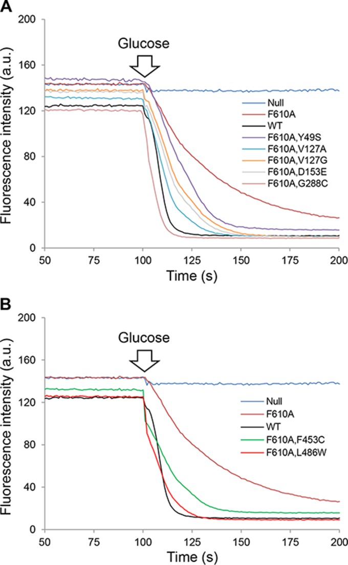 FIG 3