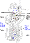 FIG 2