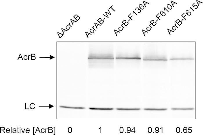 FIG 1