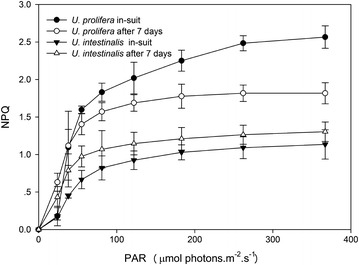 Fig. 7