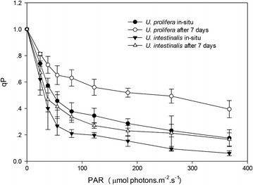 Fig. 6