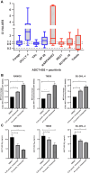 Figure 5. Combination studies with ADCT-602. A, Box plots of the combination of ADCT-602 with pacritinib in eight lymphoma cell lines [four high IRAK1 expression levels resistant to ADCT-602 (red; KARPAS-422, REC1, SU-DHL-16, and TOLEDO) and four low IRAK1 expression levels sensitive to ADCT-602 (blue; FARAGE, OCI-LY-1, VAL, and SP49)]. Box plots represent the CI values obtained in individual cell lines. In each box plot, the line in the middle represents the median, and the box extends from the 25th to the 75th percentile; the whiskers extend to the upper and lower adjacent values. On the basis of the Chou–Talalay CI, the effect of the combinations was defined as synergistic (CI <0.9), additive (CI, 0.9–1.1), or antagonist (CI >1.1). CI thresholds are visualized with dotted lines. B, Cell-surface expression of CD22 following treatment with chidamide analyzed by flow cytometry in Ramos, TMD8, and SU-DHL-4 cell lines. Data represent the mean ± SE of at least two independent experiments, and they are expressed as MFI fold change (CD22 MFI chidamide/CD22 MFI DMSO). C, In vitro cytotoxicity of ADCT-602 following pretreatment with chidamide for 7 days. Data are presented as the mean IC50 values of ADCT-602 from at least three independent experiments. Statistics were calculated using an unpaired t test. CI, combination index; DMSO, dimethyl sulfoxide; IC50, 50% inhibitory concentration; MFI, mean fluorescence intensity.