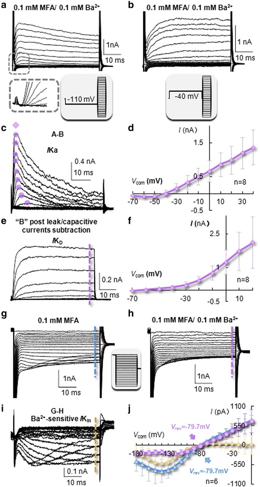 Fig. 4