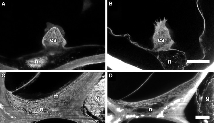 FIG. 8