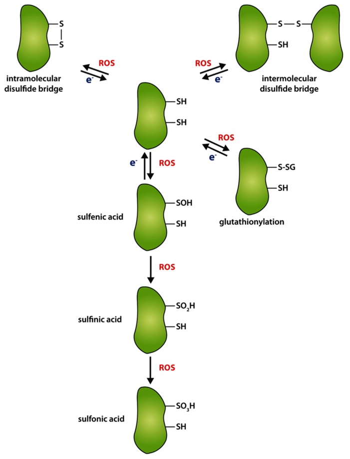 FIGURE 2