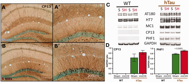 Figure 11.