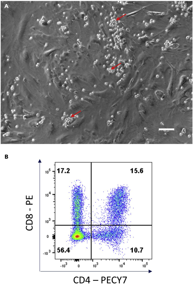 Figure 9