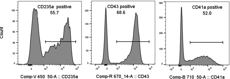 Figure 10