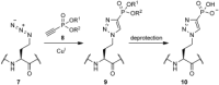 Scheme 3