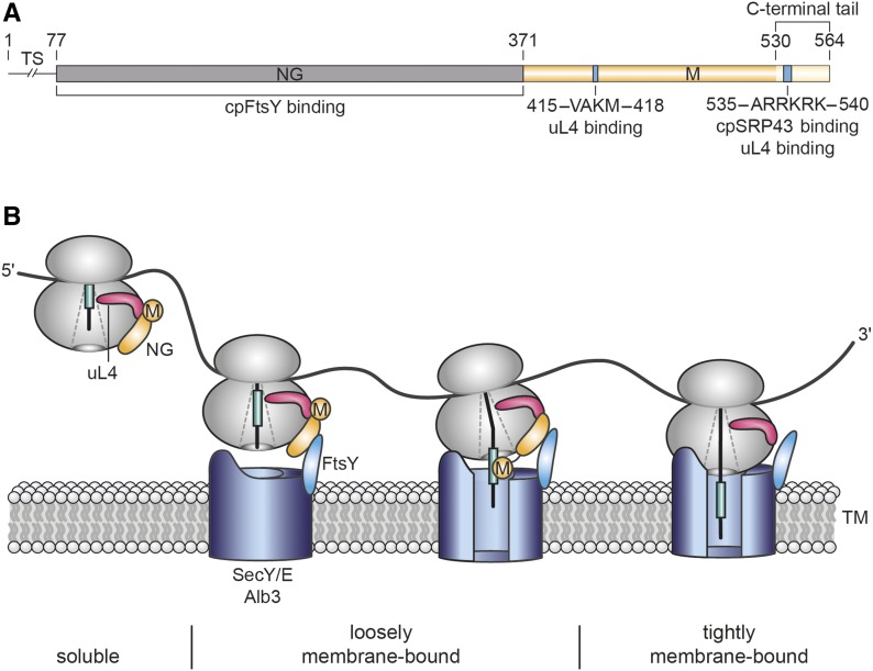 Figure 9.