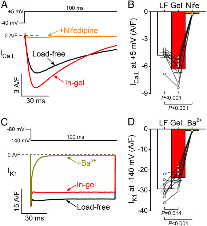 Fig. 6.