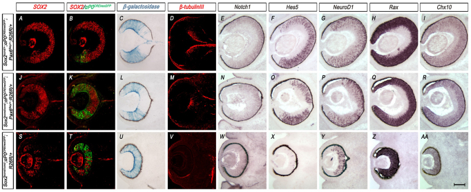 Fig. 8.