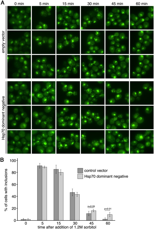 Fig 12