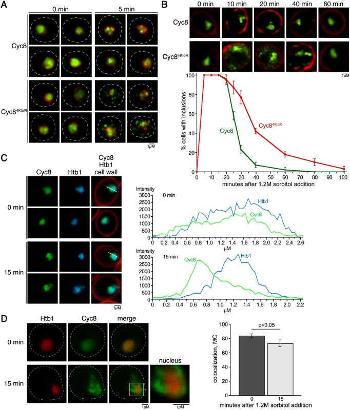 Fig 9