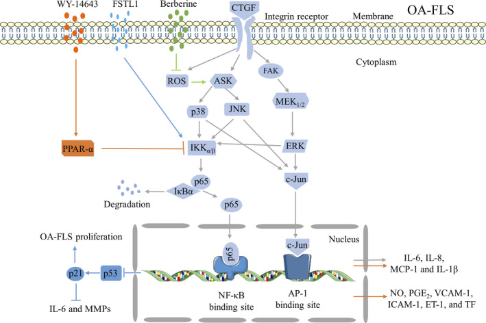 FIGURE 3