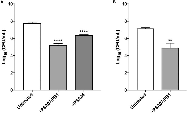 Figure 5