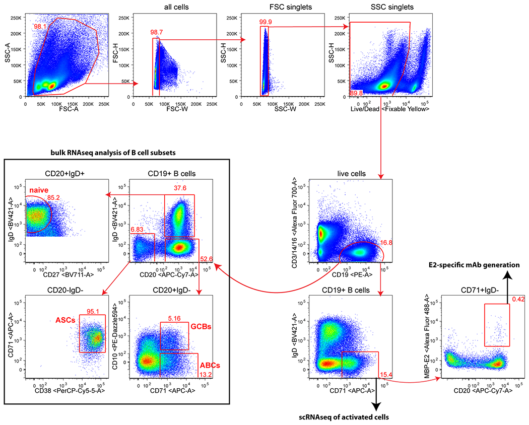 Extended Data Figure 8