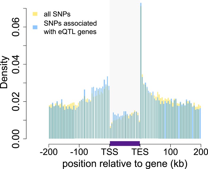 Figure 1—figure supplement 4.