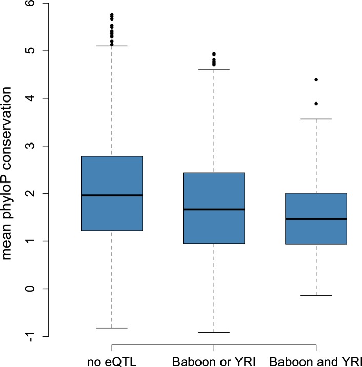 Figure 3—figure supplement 1.